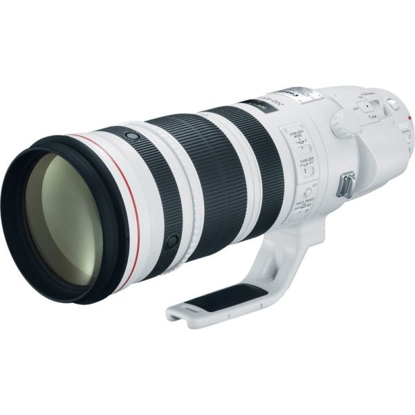 Canon EF 200-400mm f/4L IS USM Lens w/ 1.4x Extender