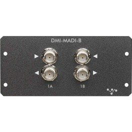 S21 DMI BNC (Madi B)