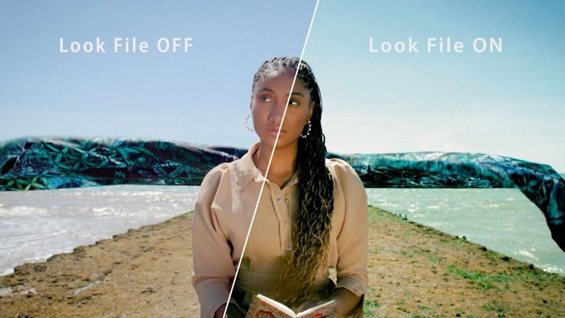 Example of a Look Up Table (LUTs) for Camera